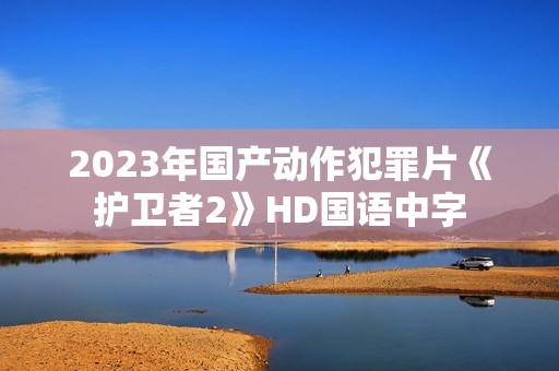 2023年国产动作犯罪片《护卫者2》HD国语中字
