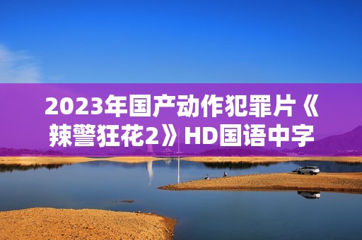 2023年国产动作犯罪片《辣警狂花2》HD国语中字