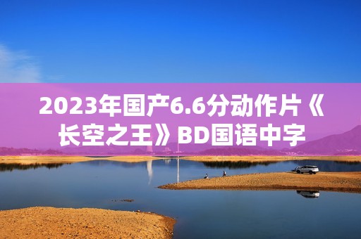 2023年国产6.6分动作片《长空之王》BD国语中字