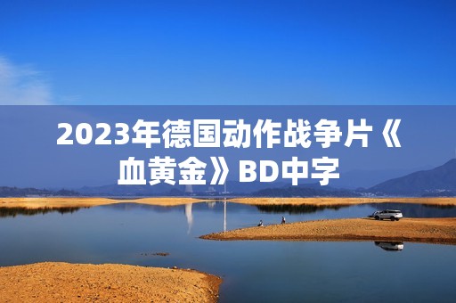 2023年德国动作战争片《血黄金》BD中字