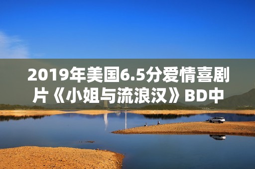 2019年美国6.5分爱情喜剧片《小姐与流浪汉》BD中英双字