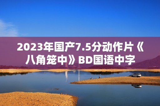 2023年国产7.5分动作片《八角笼中》BD国语中字