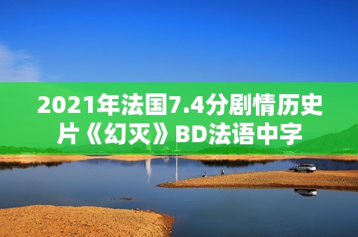 2021年法国7.4分剧情历史片《幻灭》BD法语中字