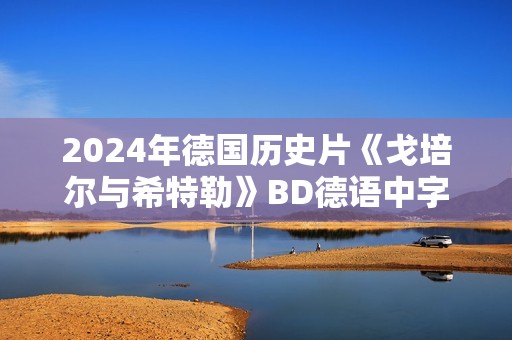 2024年德国历史片《戈培尔与希特勒》BD德语中字