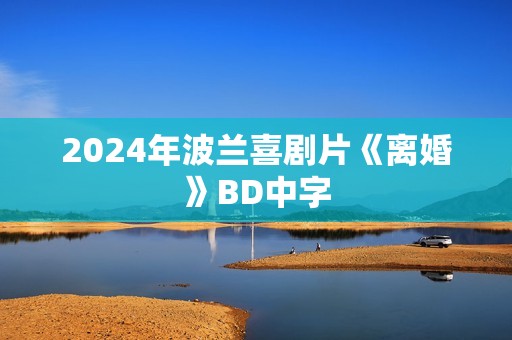 2024年波兰喜剧片《离婚》BD中字