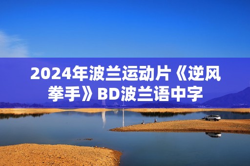 2024年波兰运动片《逆风拳手》BD波兰语中字