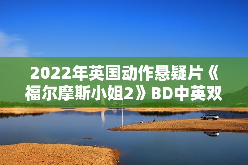 2022年英国动作悬疑片《福尔摩斯小姐2》BD中英双字