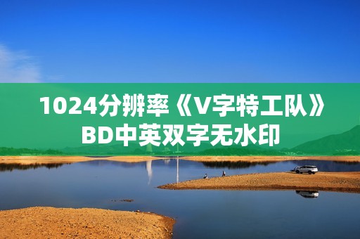 1024分辨率《V字特工队》BD中英双字无水印