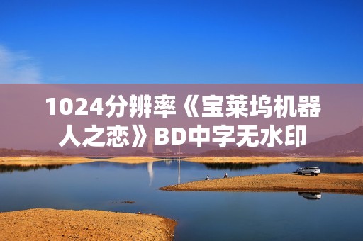 1024分辨率《宝莱坞机器人之恋》BD中字无水印