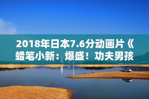 2018年日本7.6分动画片《蜡笔小新：爆盛！功夫男孩》BD中字