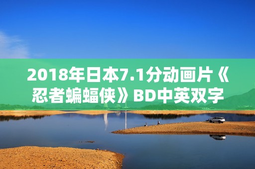 2018年日本7.1分动画片《忍者蝙蝠侠》BD中英双字