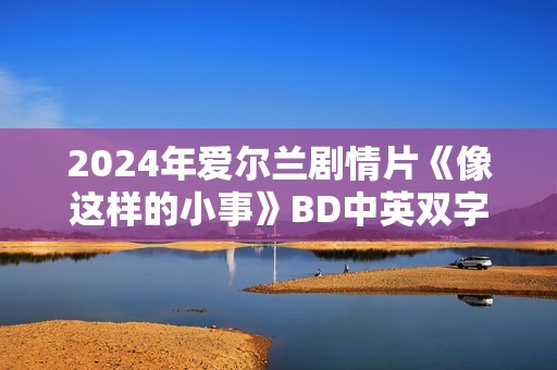 2024年爱尔兰剧情片《像这样的小事》BD中英双字