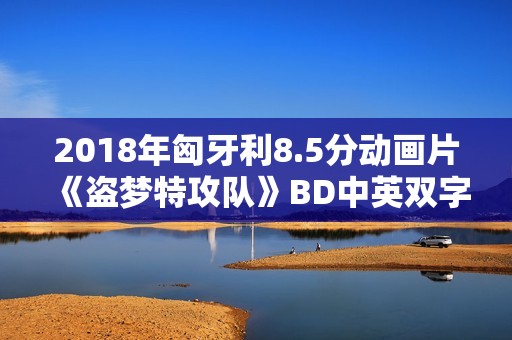 2018年匈牙利8.5分动画片《盗梦特攻队》BD中英双字