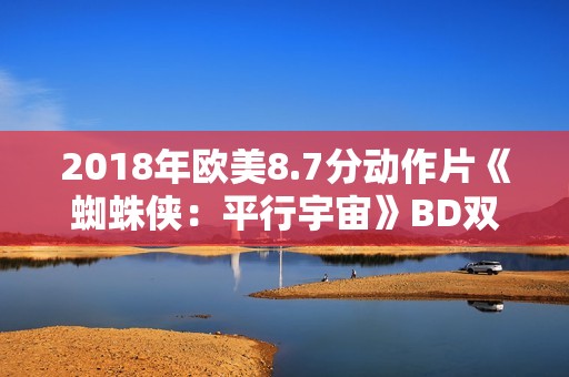 2018年欧美8.7分动作片《蜘蛛侠：平行宇宙》BD双语双字