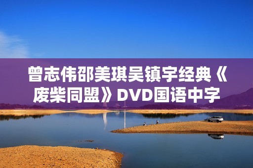 曾志伟邵美琪吴镇宇经典《废柴同盟》DVD国语中字