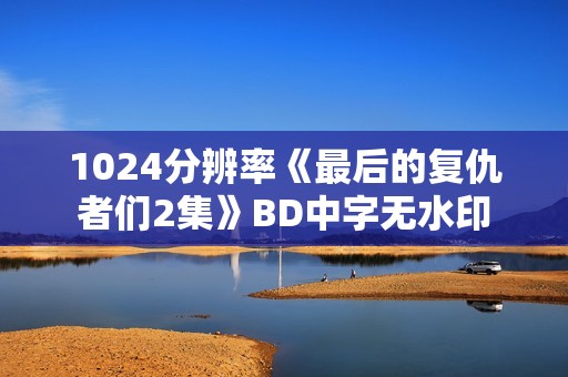 1024分辨率《最后的复仇者们2集》BD中字无水印