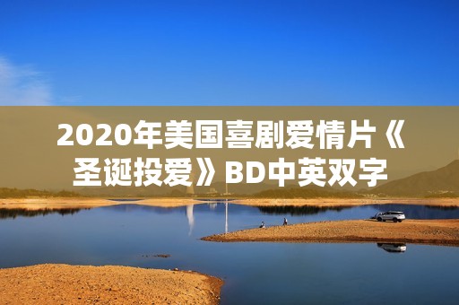 2020年美国喜剧爱情片《圣诞投爱》BD中英双字