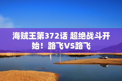 海贼王第372话 超绝战斗开始！路飞VS路飞