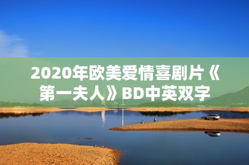 2020年欧美爱情喜剧片《第一夫人》BD中英双字