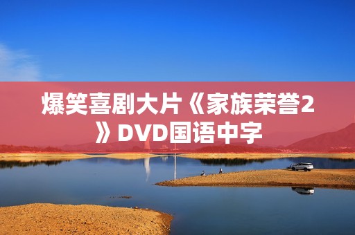 爆笑喜剧大片《家族荣誉2》DVD国语中字