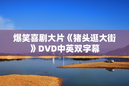 爆笑喜剧大片《猪头逛大街》DVD中英双字幕