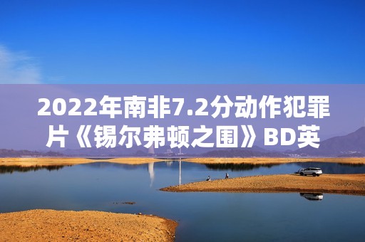 2022年南非7.2分动作犯罪片《锡尔弗顿之围》BD英语中字