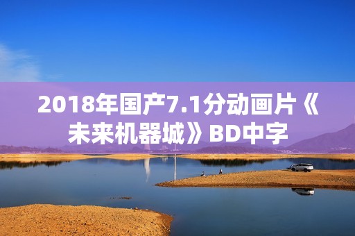 2018年国产7.1分动画片《未来机器城》BD中字