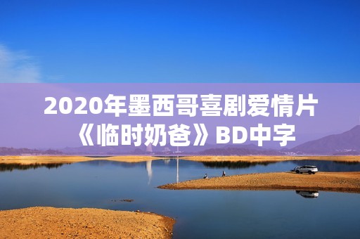 2020年墨西哥喜剧爱情片《临时奶爸》BD中字