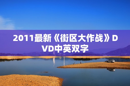 2011最新《街区大作战》DVD中英双字