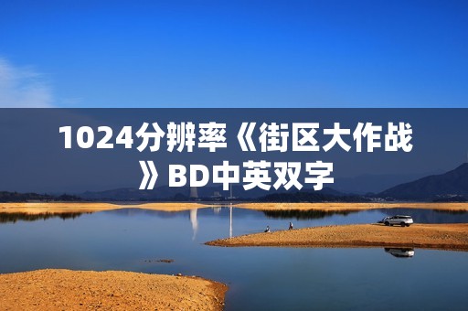 1024分辨率《街区大作战》BD中英双字