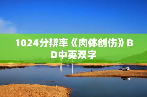 1024分辨率《肉体创伤》BD中英双字