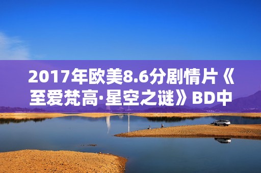 2017年欧美8.6分剧情片《至爱梵高·星空之谜》BD中英双字