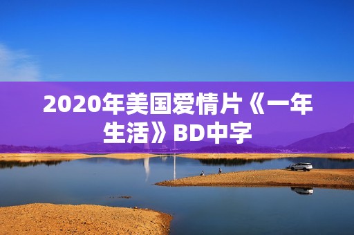 2020年美国爱情片《一年生活》BD中字