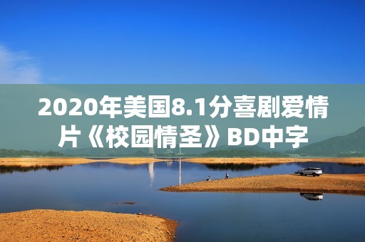 2020年美国8.1分喜剧爱情片《校园情圣》BD中字