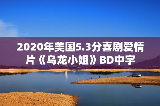 2020年美国5.3分喜剧爱情片《乌龙小姐》BD中字