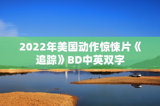 2022年美国动作惊悚片《追踪》BD中英双字