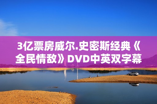 3亿票房威尔.史密斯经典《全民情敌》DVD中英双字幕