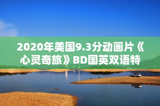 2020年美国9.3分动画片《心灵奇旅》BD国英双语特效中英双字