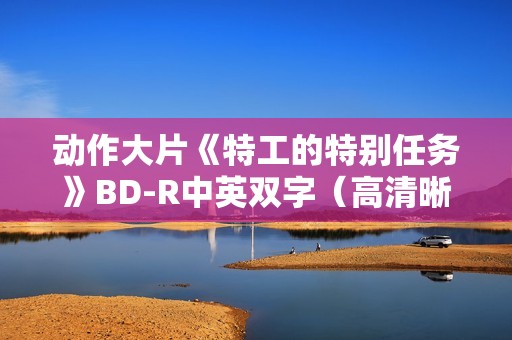 动作大片《特工的特别任务》BD-R中英双字（高清晰版）