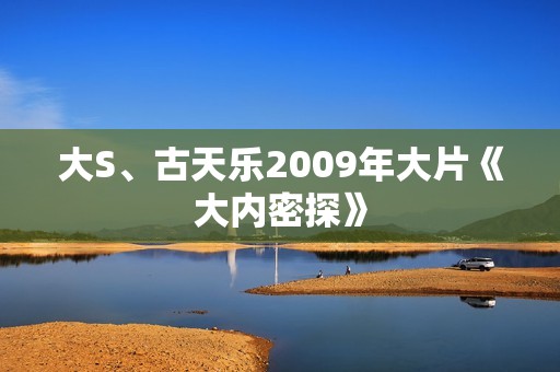 大S、古天乐2009年大片《大内密探》 大S、古天乐2009年大片《大内密探》