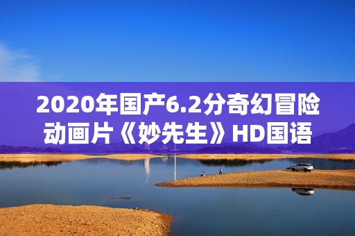 2020年国产6.2分奇幻冒险动画片《妙先生》HD国语中字