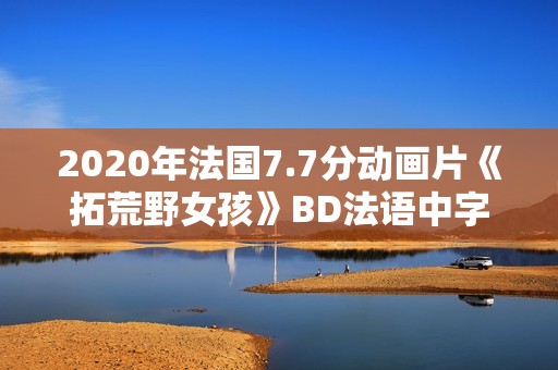 2020年法国7.7分动画片《拓荒野女孩》BD法语中字