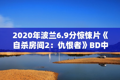 2020年波兰6.9分惊悚片《自杀房间2：仇恨者》BD中字