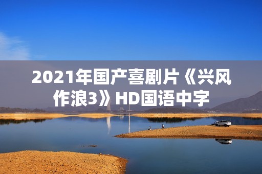 2021年国产喜剧片《兴风作浪3》HD国语中字