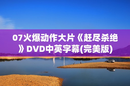 07火爆动作大片《赶尽杀绝》DVD中英字幕(完美版)
