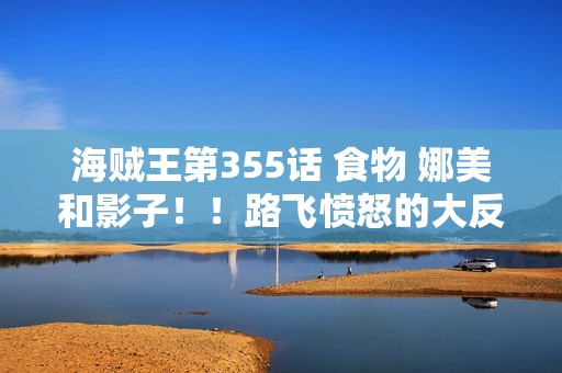 海贼王第355话 食物 娜美和影子！！路飞愤怒的大反击