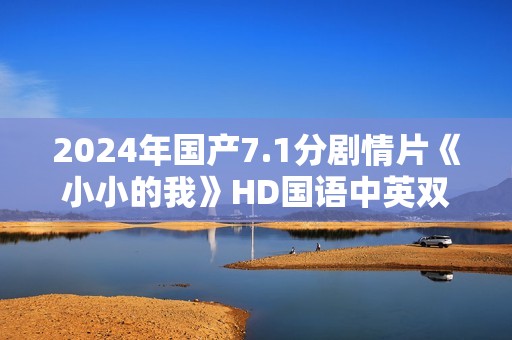 2024年国产7.1分剧情片《小小的我》HD国语中英双字