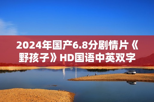 2024年国产6.8分剧情片《野孩子》HD国语中英双字