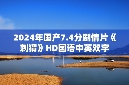 2024年国产7.4分剧情片《刺猬》HD国语中英双字