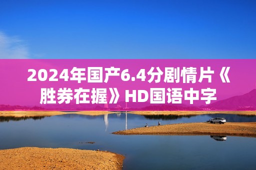 2024年国产6.4分剧情片《胜券在握》HD国语中字